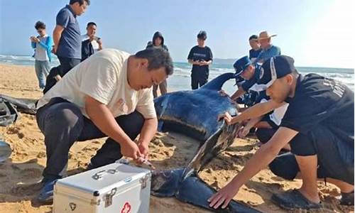 瑶翻白眼流口水流眼泪图片_王者荣耀瑶咬铁球反转符号