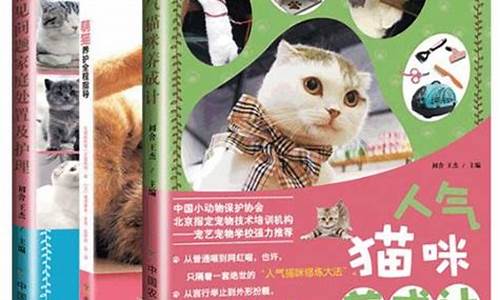 萌猫猫养成攻略 _萌猫猫养成攻略